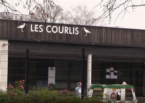 École Les Courlis